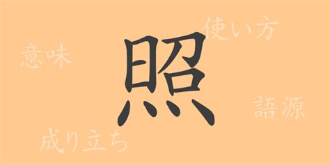 照meaning|照 